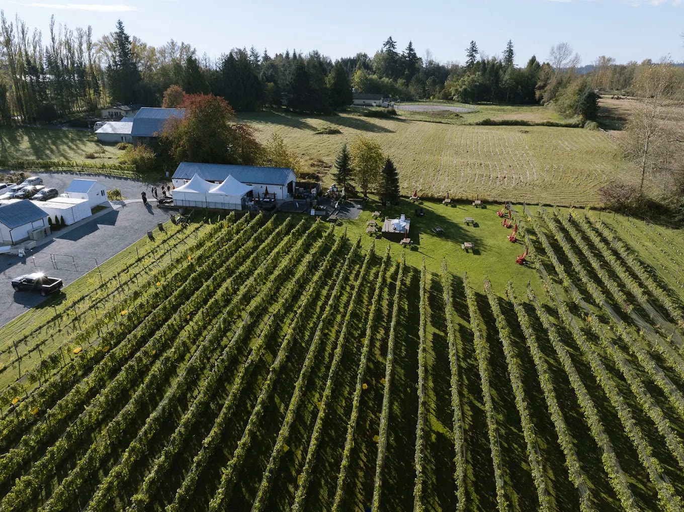 Aerial view of a Fraser Valley vineyard
